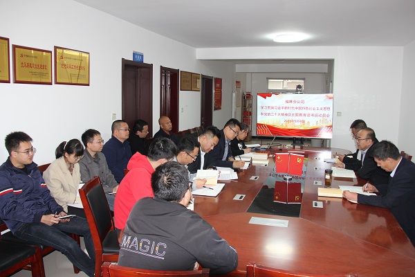 榆林分公公司深学细悟笃行推动主题教育取得扎实成效.JPG