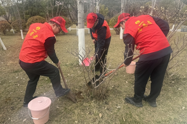 植树.JPG