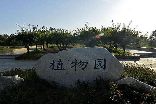 植物园.jpg