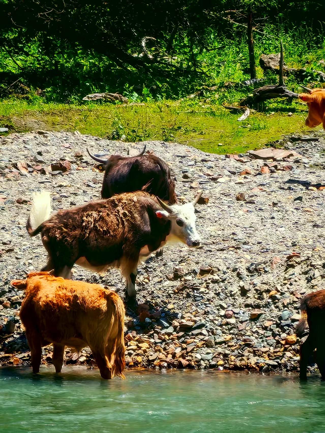 081754637487257230.jpg