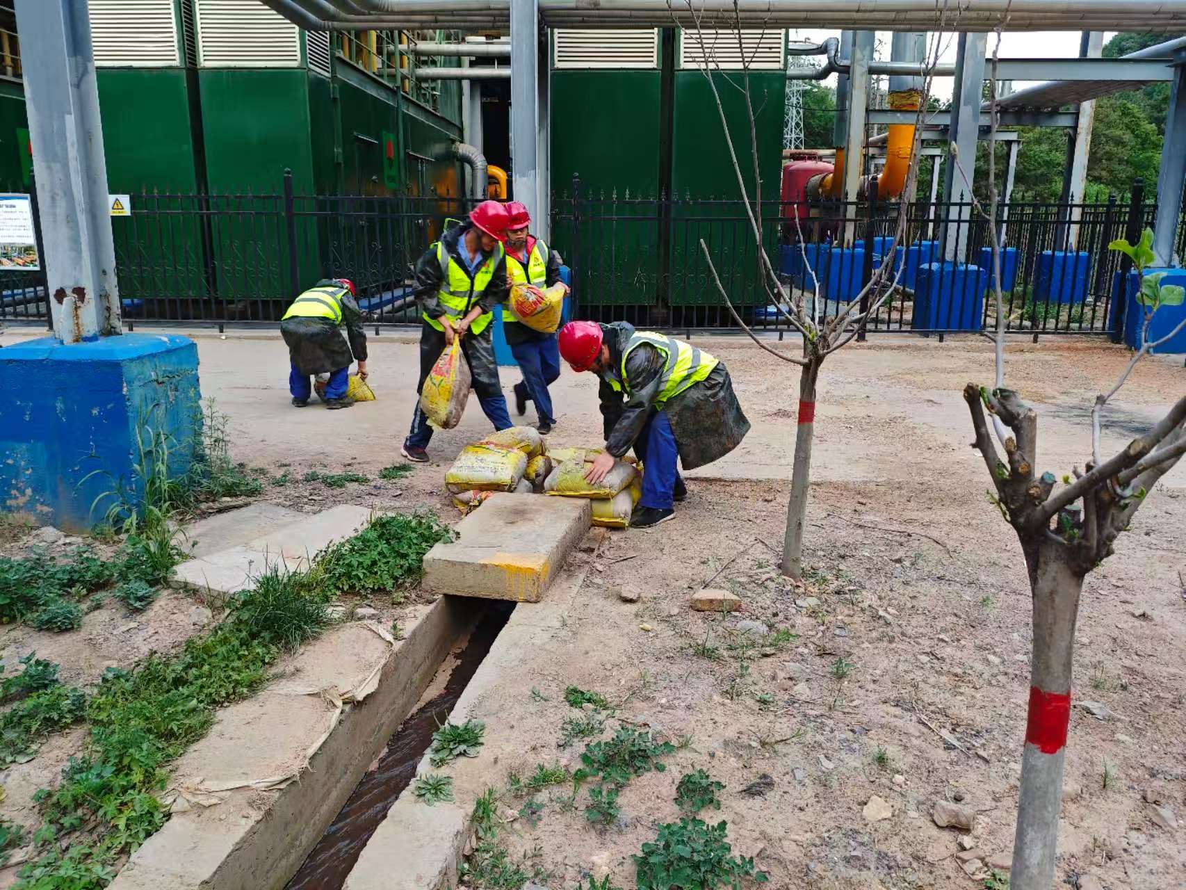 101760061007986240.jpg 101760061007986240.jpg